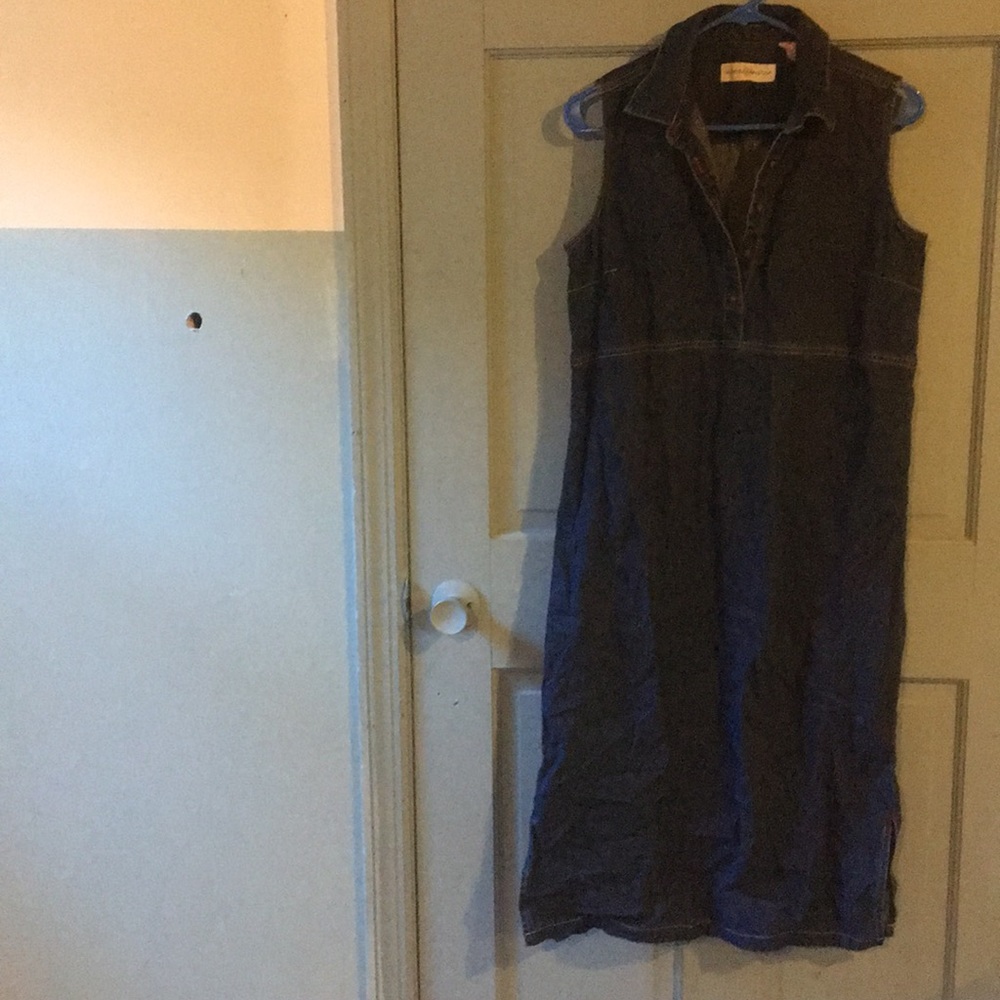 Marisa Christina denim dress